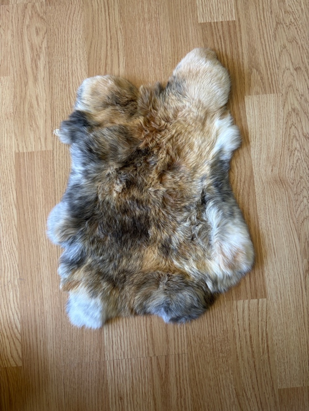 B0010 rabbit pelt in Multi-Tone Brown and Cream crafts decor